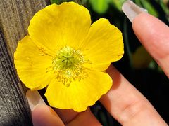 -白草畔自然风景区