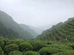 -西湖风景区十里琅珰-五云山