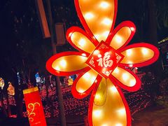 -南宫五洲植物乐园