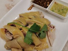 正宗白切鸡-巫记鸡饭店