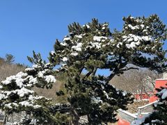 -妙峰山风景名胜区