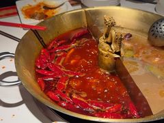 -小龙翻大江文化火锅(宽窄店)