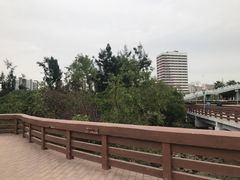 -宝安西湾红树林湿地公园