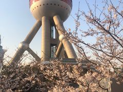 -东方明珠广播电视塔