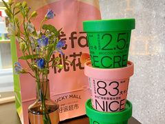 -gaga(深圳福田星河COCO Park店)