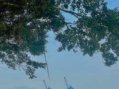 -南沙十九涌渔人码头-南门