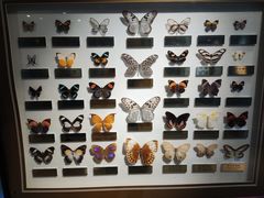 -上海昆虫博物馆