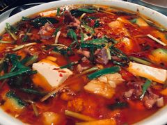 -院8里·小聚园老川菜(九眼桥店)