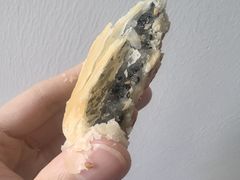 -矮子馅饼(大成路店)