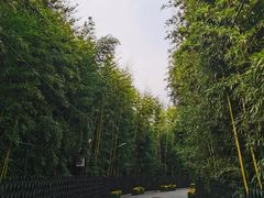-红螺寺