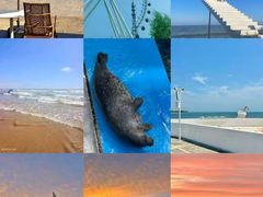 -巧克力渔家.小船海鲜家常菜(万平口店)