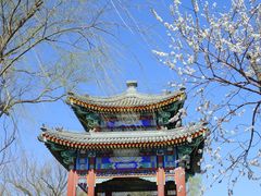 -颐和园