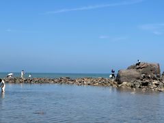 -海合安青岛极地海洋公园