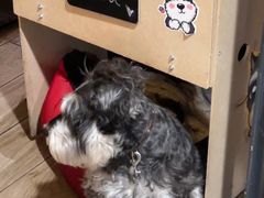 -旺角茶餐厅