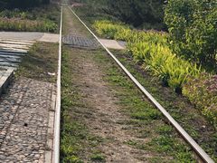 -永定河休闲森林公园