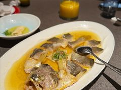 清蒸生态大黄鱼-麟1929(外滩店)