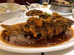 老济南糖醋鲤鱼-金春禧(世茂国际广场店)