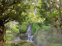 -Chom Cafe and Restaurant