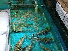 -中苑海韵