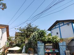 -三圣花乡旅游区