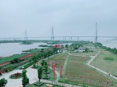 -芒洲湿地公园