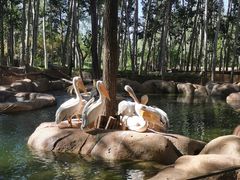 -北京野生动物园