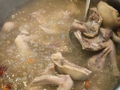 -鸽鸟轩(石岐店)