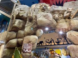 -卡通尼·Safari非洲探索乐园·生日会(金桥国际商业广场店)