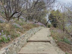 -香山公园