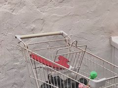 -Eckl’s爱氏热狗(猫街店)