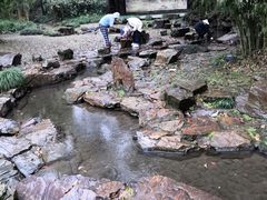 -兰亭风景区