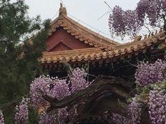 -北京国子监胡同
