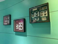 -上海昆虫博物馆