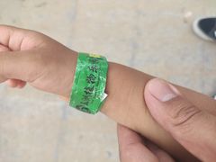 -南宫五洲植物乐园