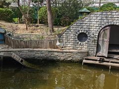 -南宫五洲植物乐园