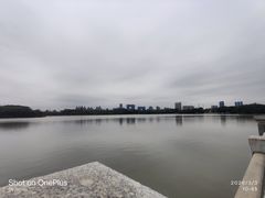 -海珠湖公园