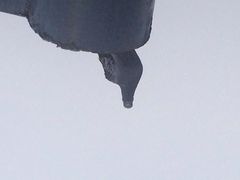 曼谷安娜塔拉河畔水疗度假村-阿瓦尼河滨曼谷酒店