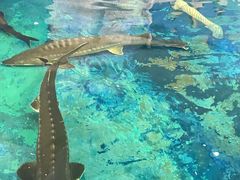 -泉州海丝野生动物世界