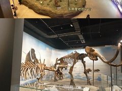-辽宁古生物博物馆
