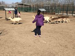 -北京麋鹿生态实验中心