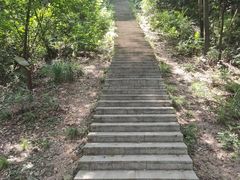 -桃花岭景区