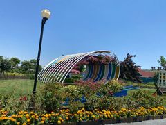 -荷兰花海