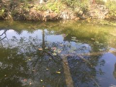 -珠海圆明新园