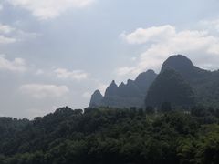 -椿记烧鹅(叠彩店)