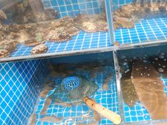 -宾朋海鲜饭庄(兴海路店)