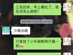 -安安宠物医院(佳林路分院)