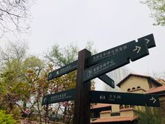 -静园(和平区)