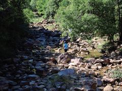 -广州白江湖森林公园