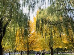 -中央民族大学