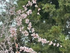 -太阳宫公园